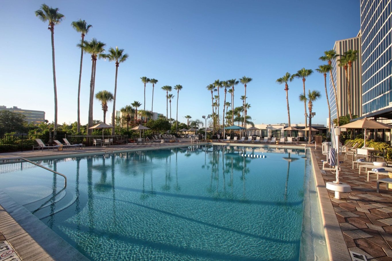 A clear swimming pool surrounded by palm trees and lounge chairs under a blue sky.