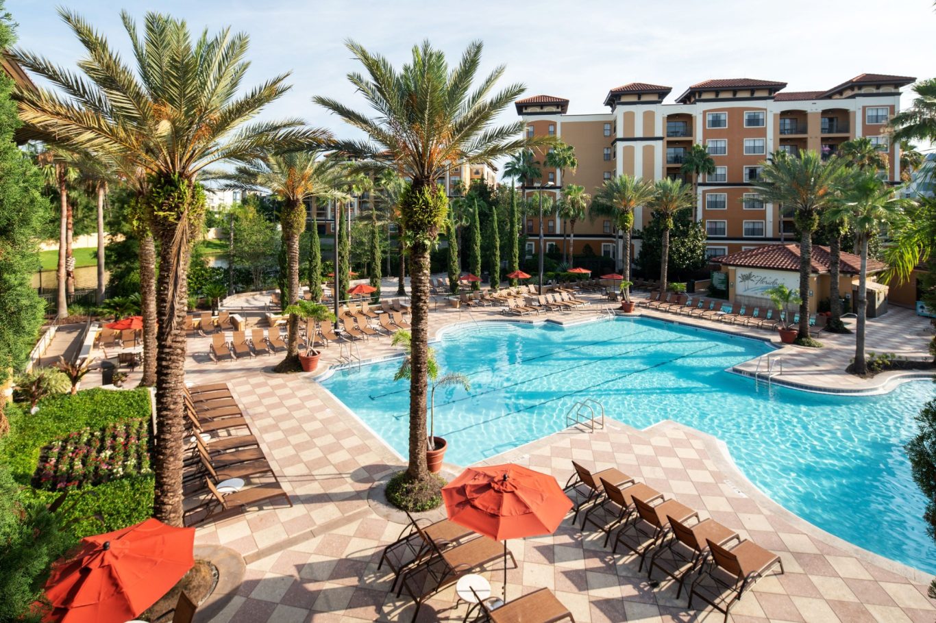 A sunny resort pool area surrounded by palm trees and lounge chairs.