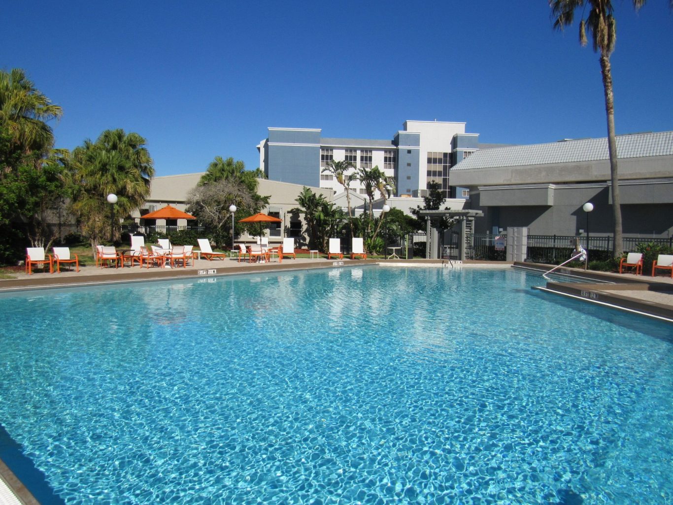 A clear blue swimming pool surrounded by palm trees and lounge chairs.