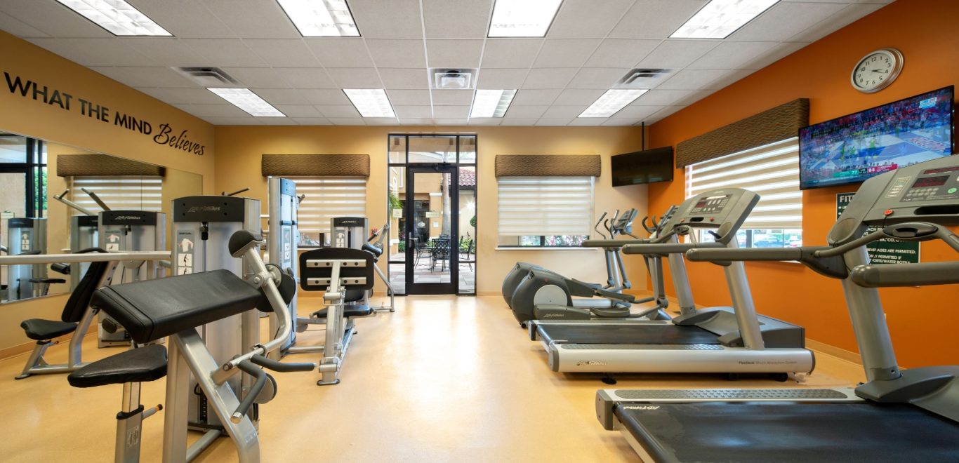 A bright, spacious gym with treadmills, weights, and large windows.