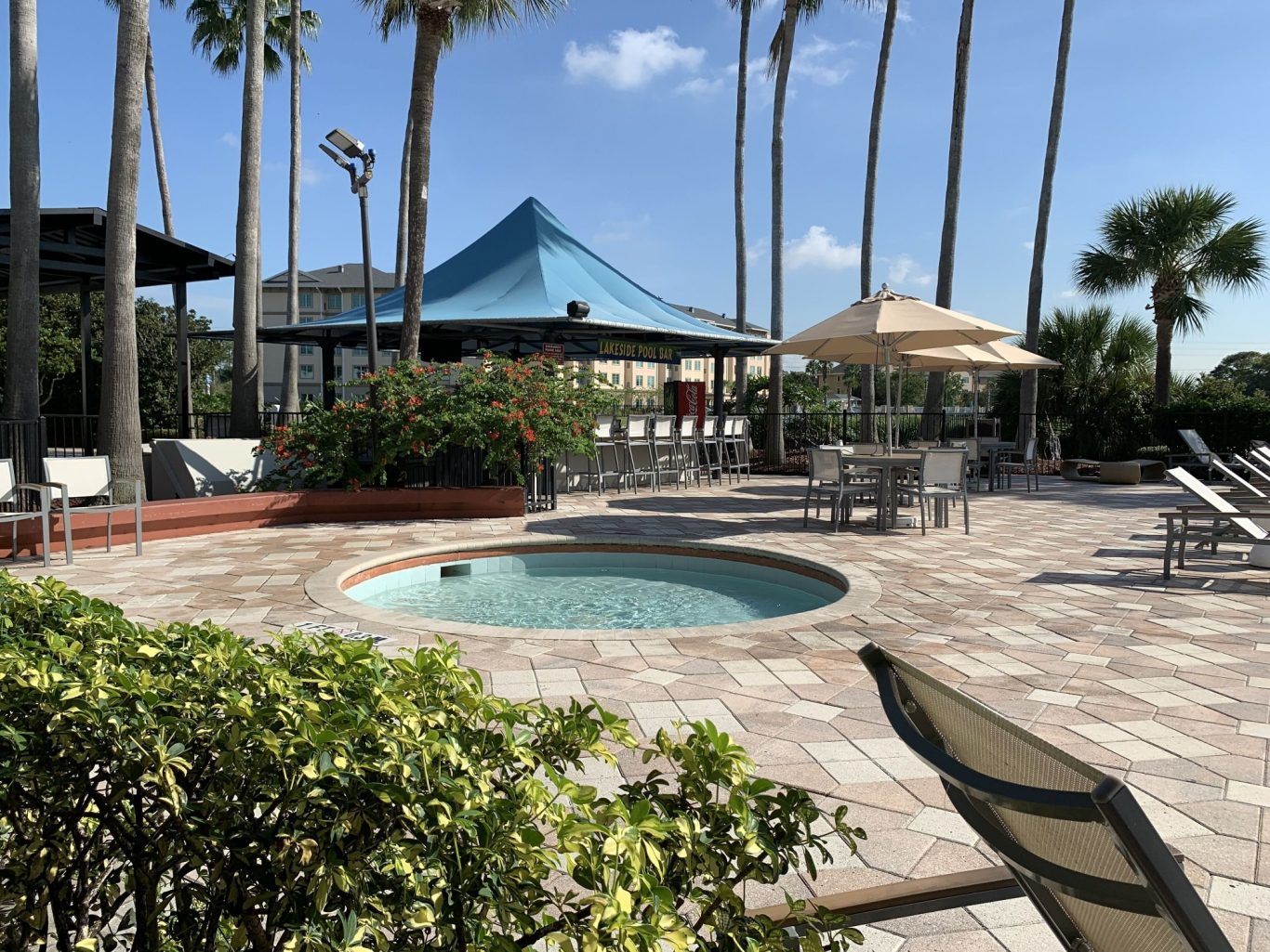A pool surrounded by palm trees and lounge chairs in a sunny outdoor setting.