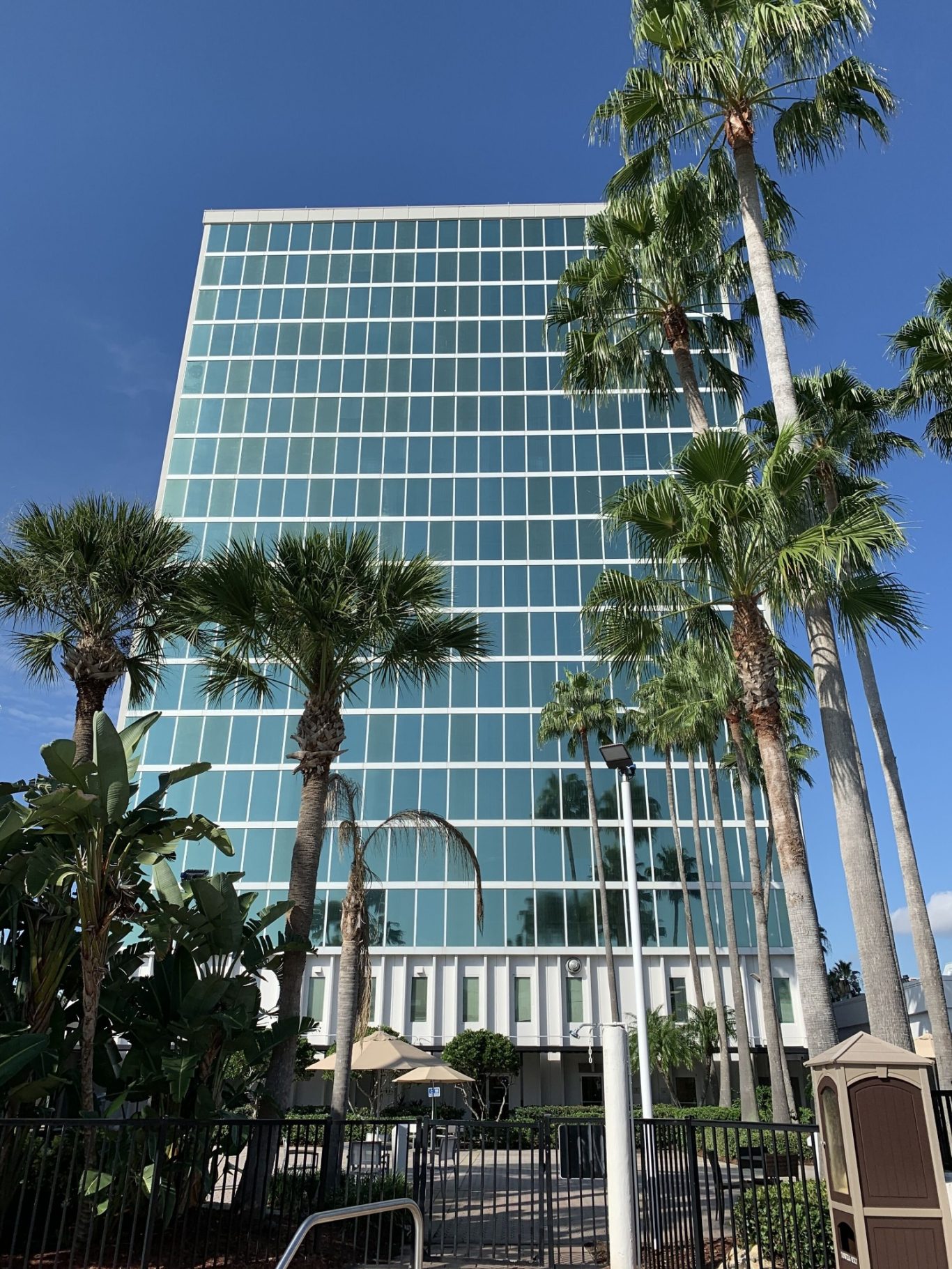 Tall modern building surrounded by palm trees under a clear blue sky.