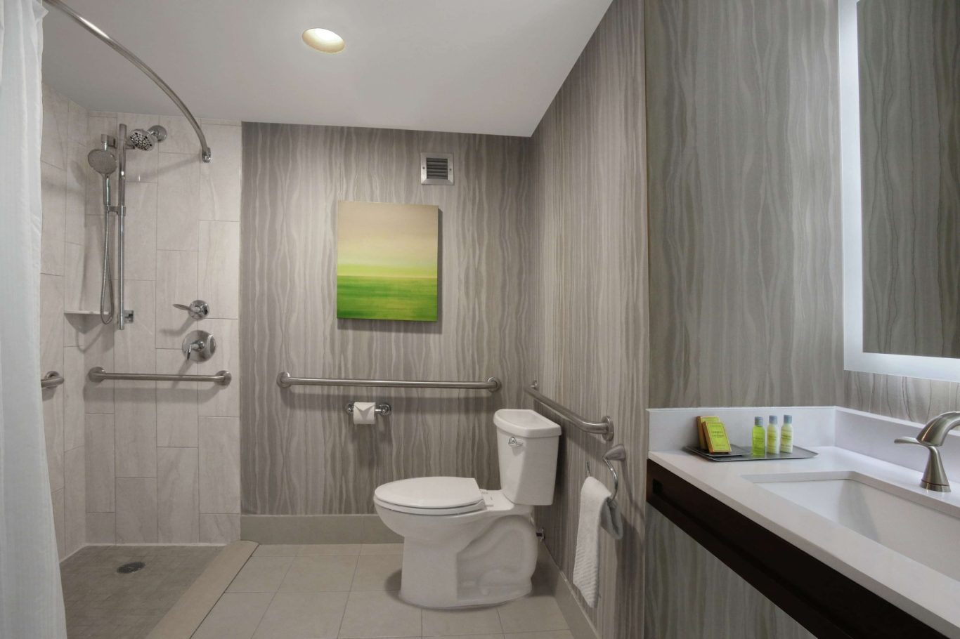 Accessible bathroom with grab bars, shower, toilet, and modern sink. Green art on the wall.