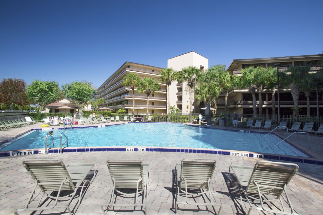 Swimming pool surrounded by lounge chairs and palm trees, with buildings in the background.